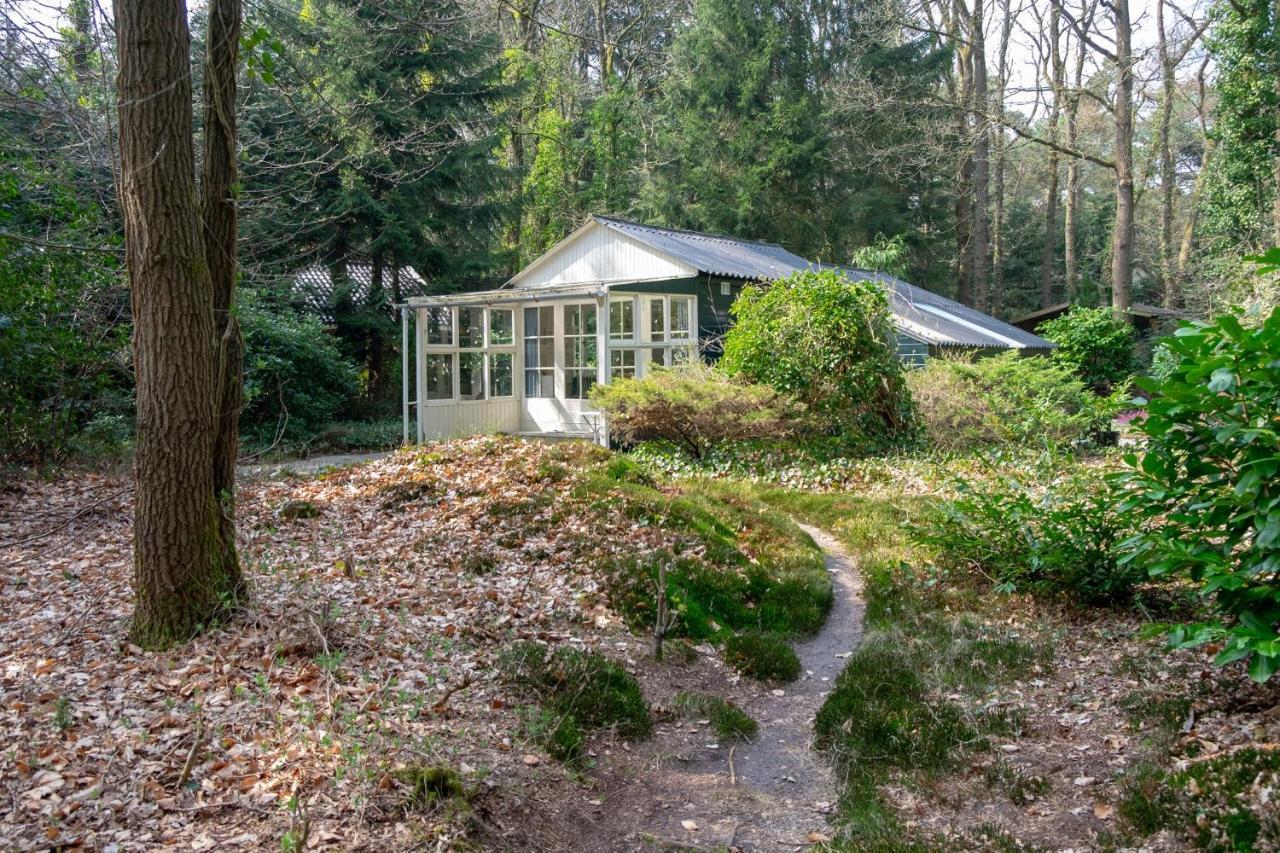 "Esdoorn" Ontspannen In De Hottub Norg Exterior foto